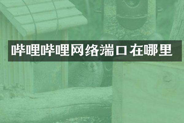 哔哩哔哩网络端口在哪里