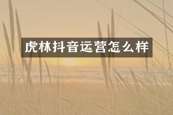 虎林抖音运营怎么样