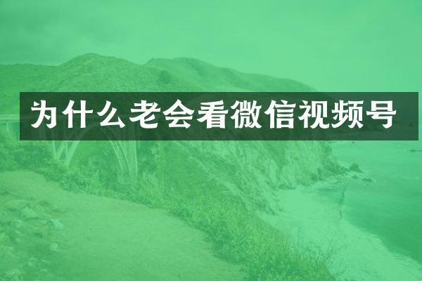 为什么老会看微信视频号