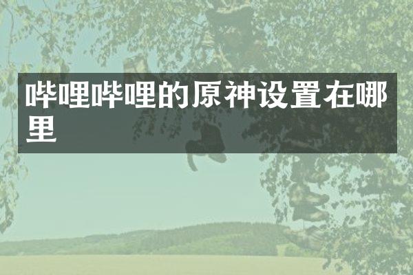 哔哩哔哩的原神设置在哪里