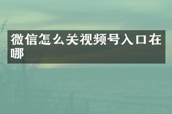 微信怎么关视频号入口在哪
