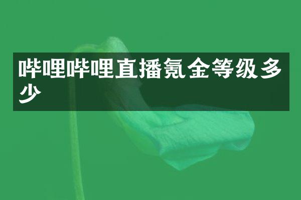 哔哩哔哩直播氪金等级多少