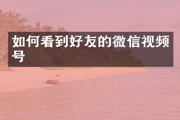 如何看到好友的微信视频号