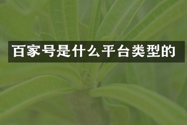 百家号是什么平台类型的