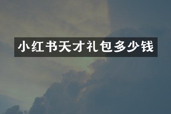 小红书天才礼包多少钱