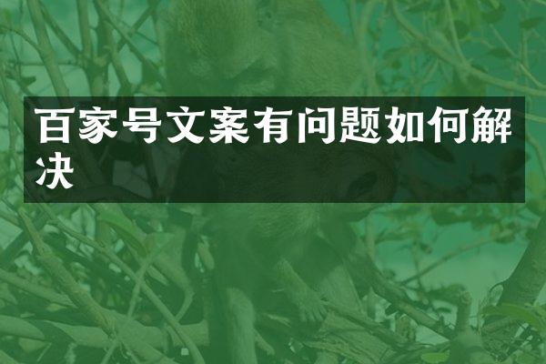 百家号文案有问题如何解决