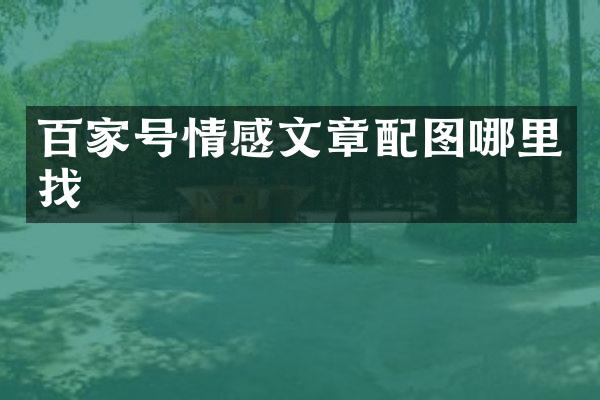 百家号情感文章配图哪里找