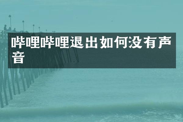 哔哩哔哩退出如何没有声音