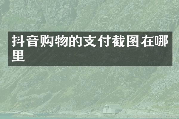 抖音购物的支付截图在哪里