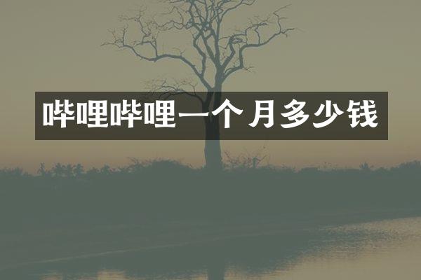 哔哩哔哩一个月多少钱