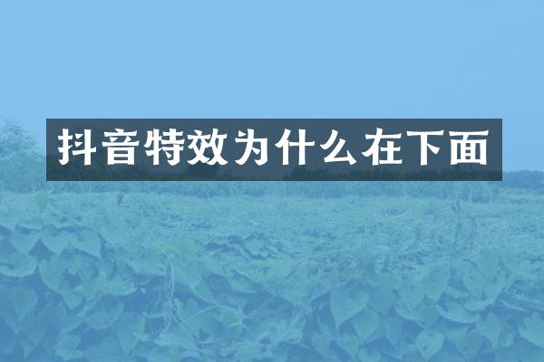 抖音特效为什么在下面