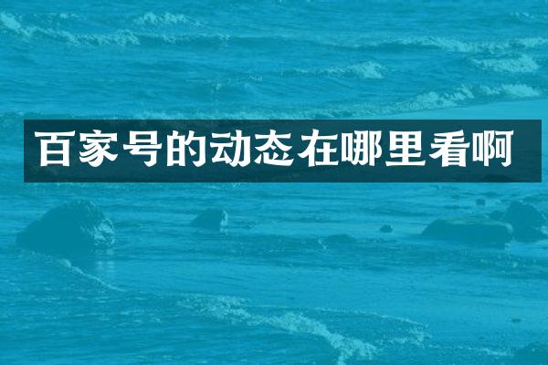 百家号的动态在哪里看啊