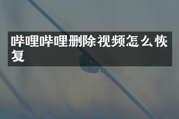 哔哩哔哩删除视频怎么恢复