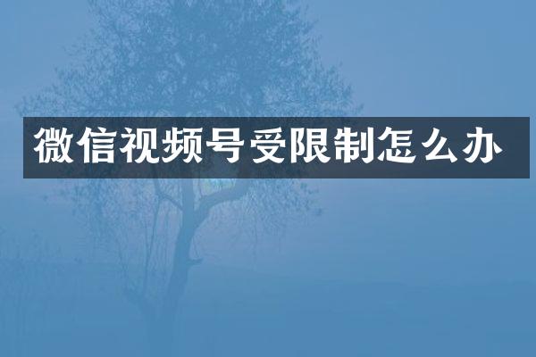 微信视频号受限制怎么办