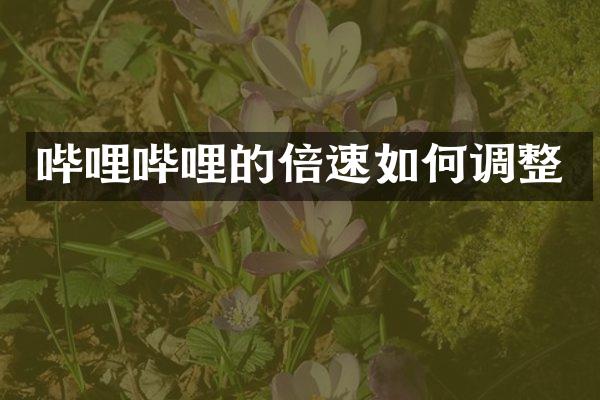 哔哩哔哩的倍速如何调整
