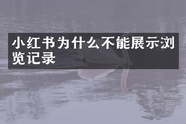小红书为什么不能展示浏览记录