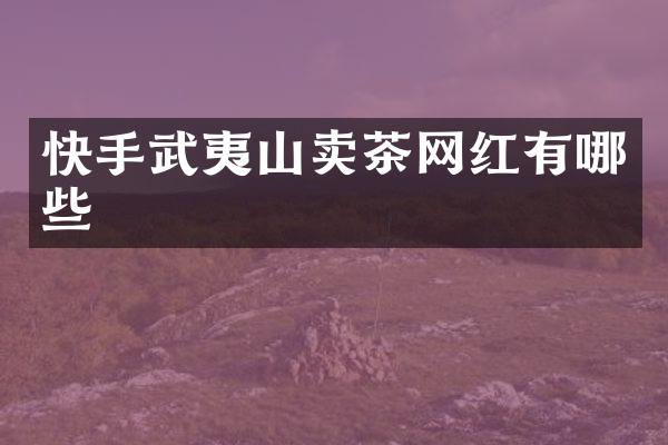 快手武夷山卖茶网红有哪些