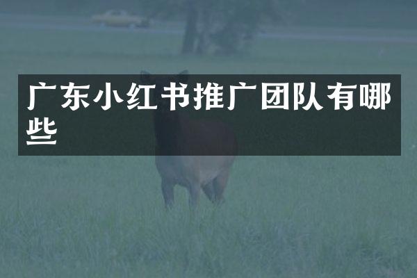 广东小红书推广团队有哪些