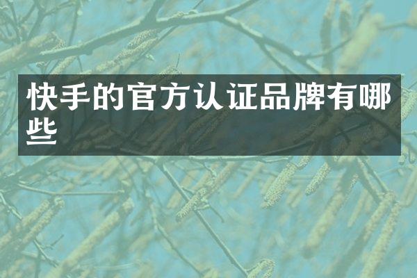 快手的官方认证品牌有哪些
