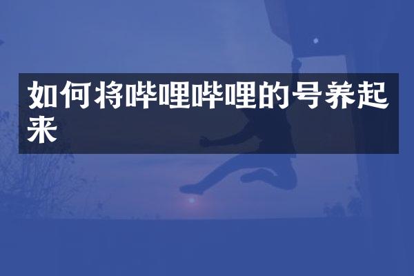 如何将哔哩哔哩的号养起来