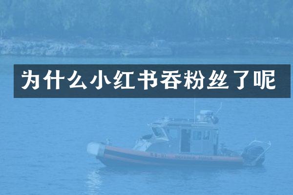 为什么小红书吞粉丝了呢