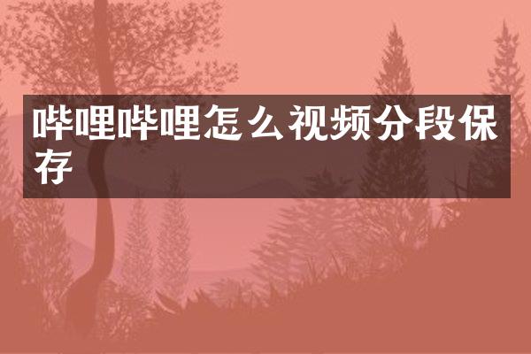 哔哩哔哩怎么视频分段保存