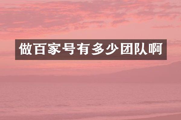做百家号有多少团队啊