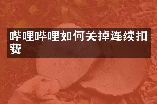 哔哩哔哩如何关掉连续扣费
