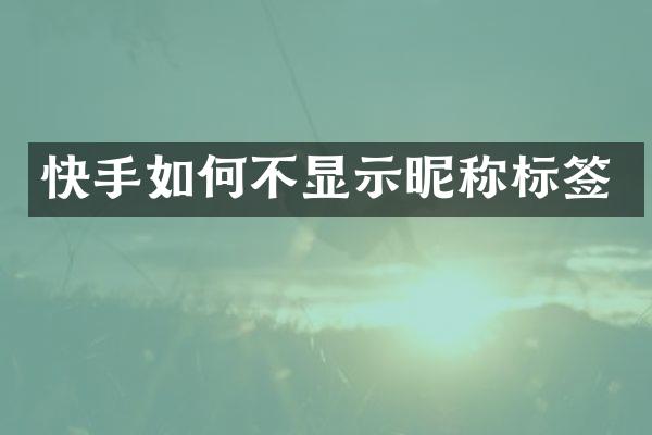 快手如何不显示昵称标签