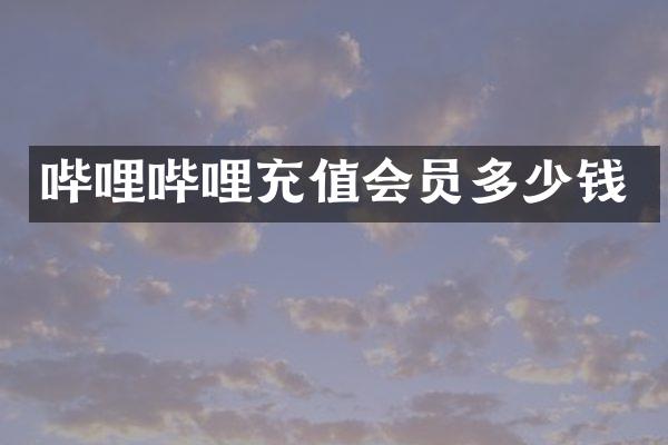 哔哩哔哩充值会员多少钱