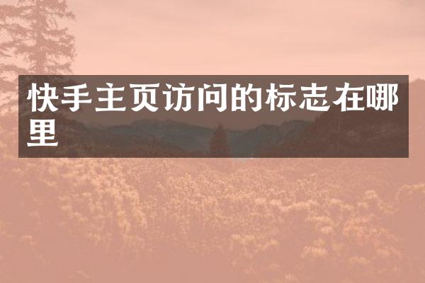快手主页访问的标志在哪里