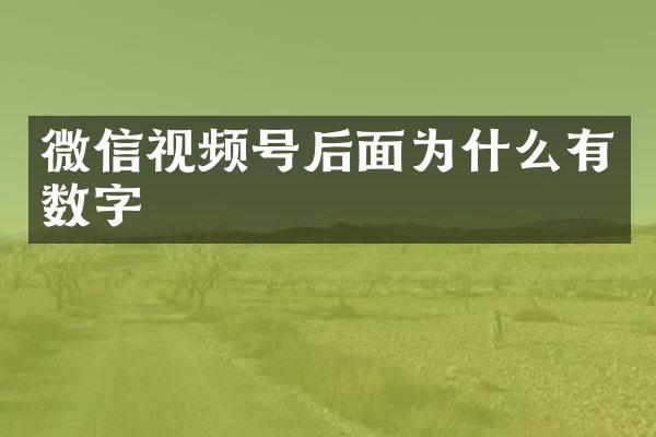 微信视频号后面为什么有数字