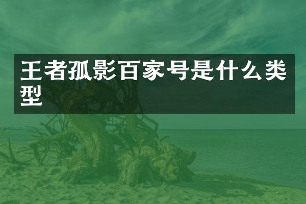 王者孤影百家号是什么类型