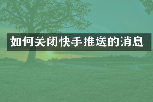 如何关闭快手推送的消息