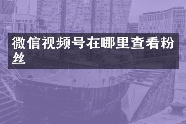微信视频号在哪里查看粉丝