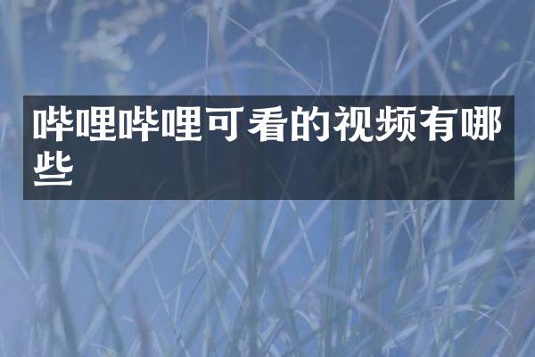 哔哩哔哩可看的视频有哪些