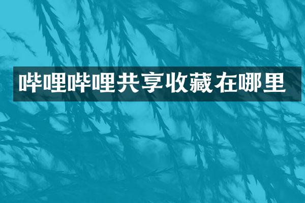 哔哩哔哩共享收藏在哪里