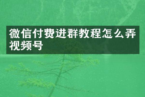 微信付费进群教程怎么弄视频号