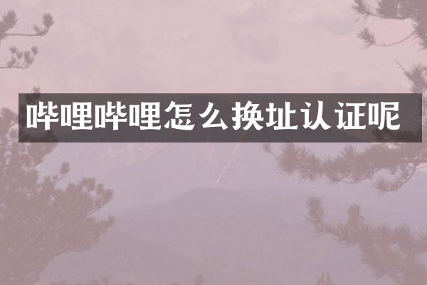 哔哩哔哩怎么换址认证呢