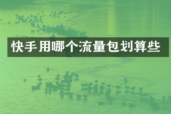 快手用哪个流量包划算些