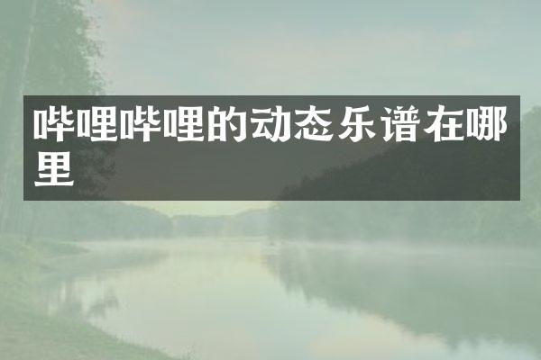 哔哩哔哩的动态乐谱在哪里