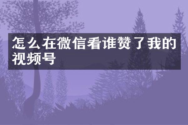 怎么在微信看谁赞了我的视频号