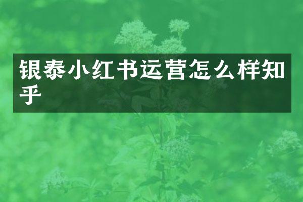 银泰小红书运营怎么样知乎