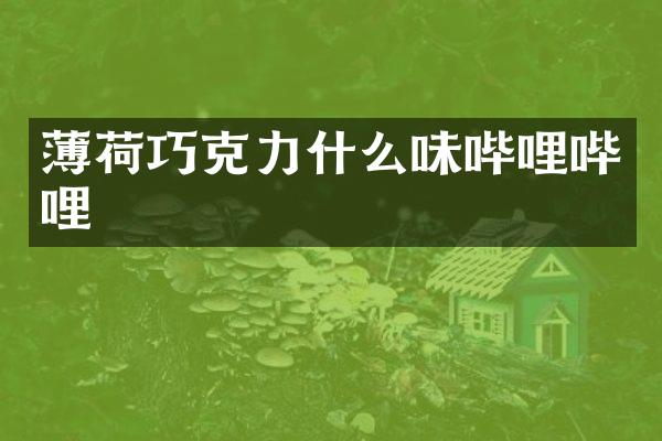 薄荷巧克力什么味哔哩哔哩