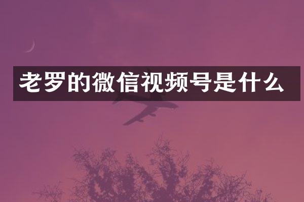 老罗的微信视频号是什么