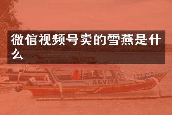 微信视频号卖的雪燕是什么