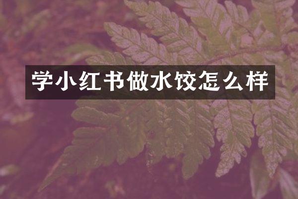 学小红书做水饺怎么样