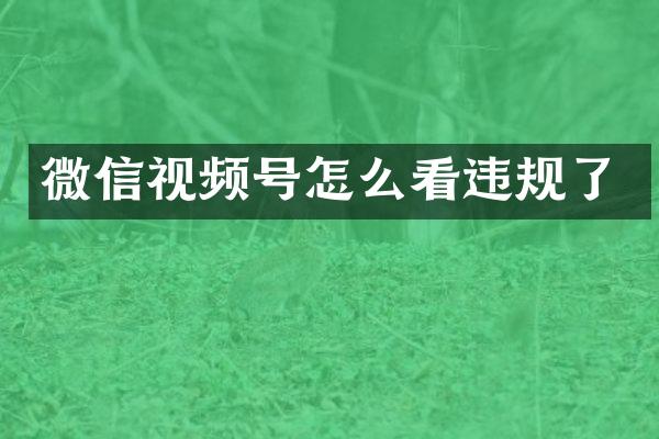 微信视频号怎么看违规了