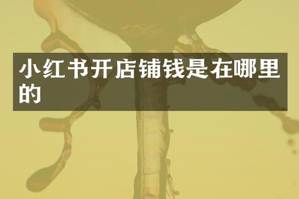 小红书开店铺钱是在哪里的