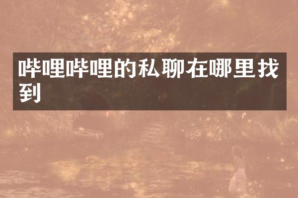 哔哩哔哩的私聊在哪里找到